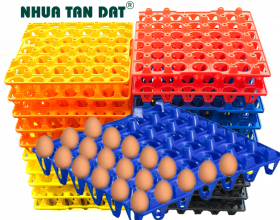 Vỉ trứng nhựa cao cấp - Nhựa Tấn Đạt - Công Ty TNHH Một Thành Viên Sản Xuất Thương Mại Nhựa Tấn Đạt